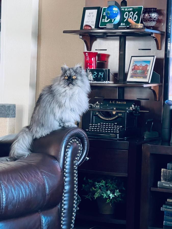 Ruskin Fl Private 2 Bdrm 1 Bath Suite Common Areas Shared With Host And Cat Bagian luar foto