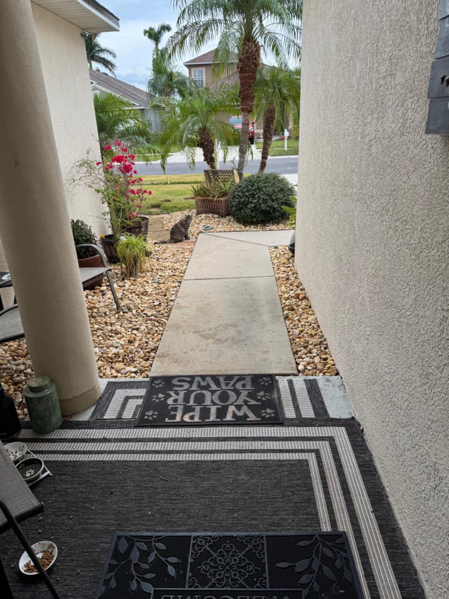 Ruskin Fl Private 2 Bdrm 1 Bath Suite Common Areas Shared With Host And Cat Bagian luar foto