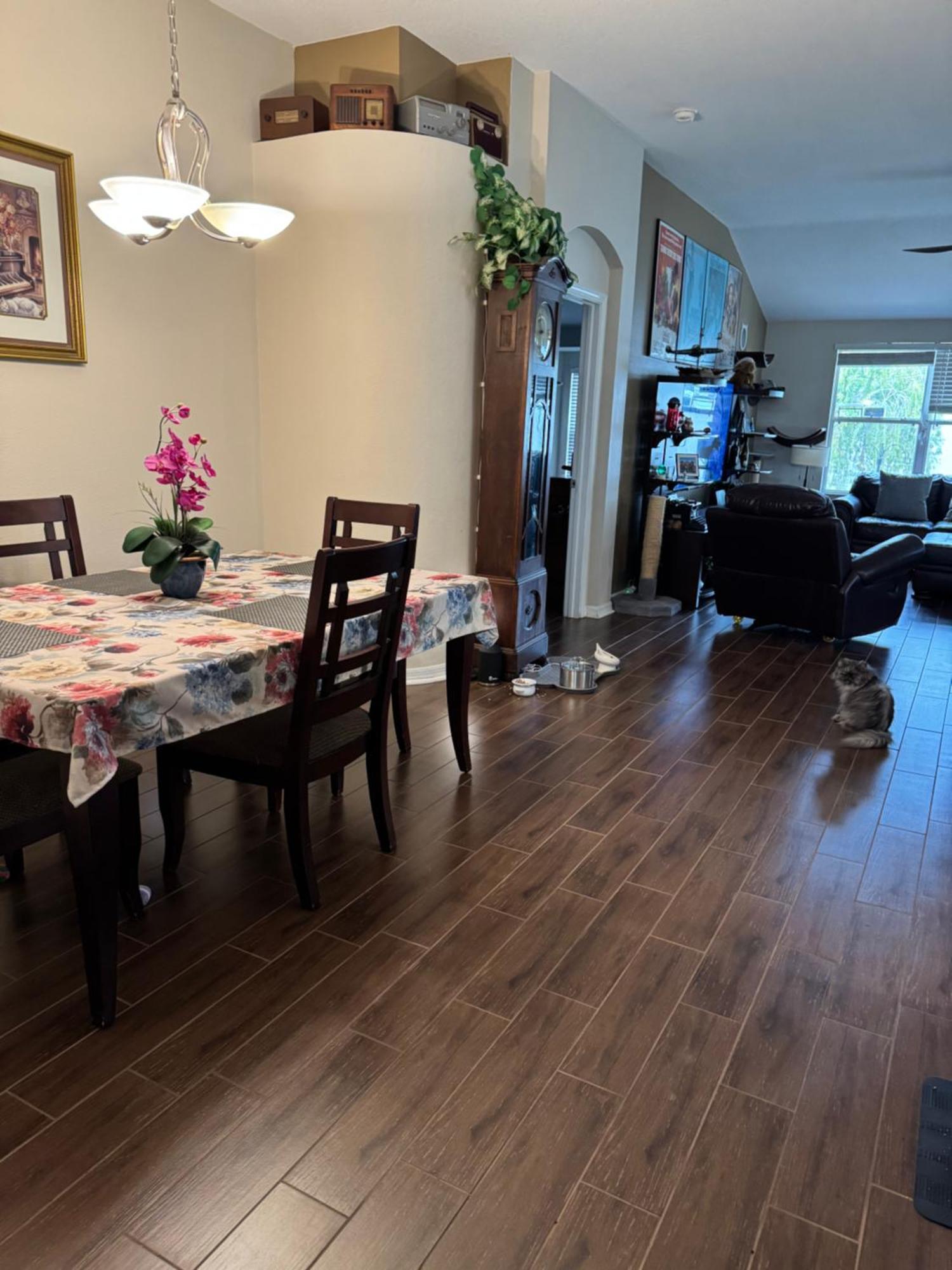 Ruskin Fl Private 2 Bdrm 1 Bath Suite Common Areas Shared With Host And Cat Bagian luar foto